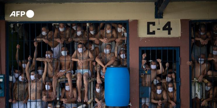 L’AFP récompensée aux Istanbul Photo Awards 2021